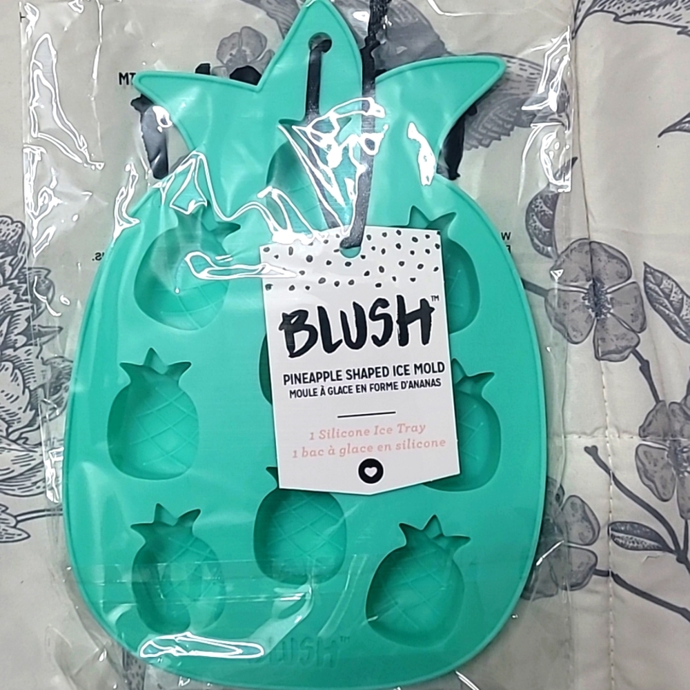 Blush Pineapple Shaped Ice Mold - Teal